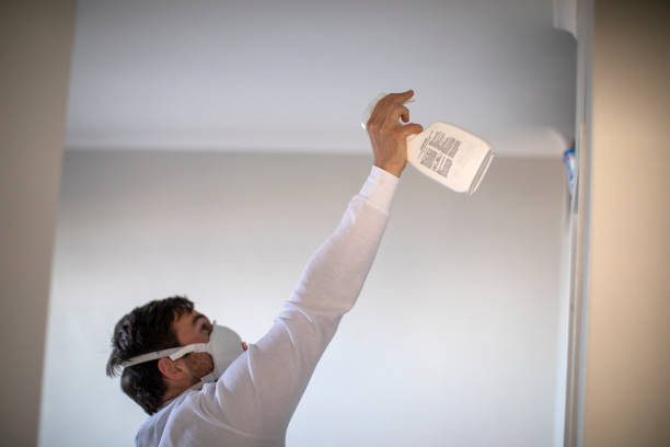  Parachute, CO Mold Removal Pros