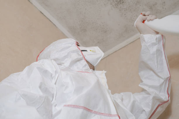 Best Mold Testing and Removal  in Parachute, CO