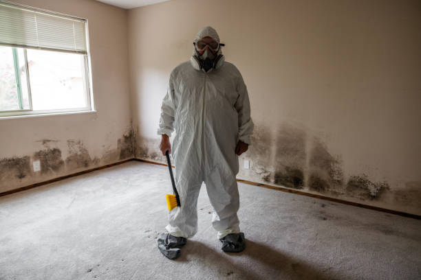 Best Residential Mold Removal  in Parachute, CO